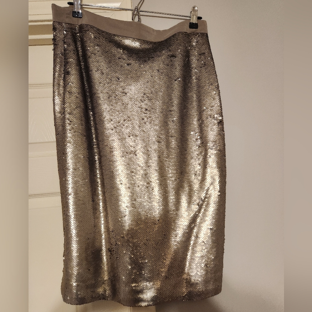 Banana Republic Sequin Skirt